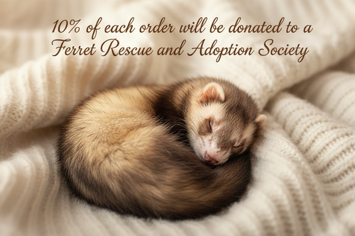Ferret with donation message